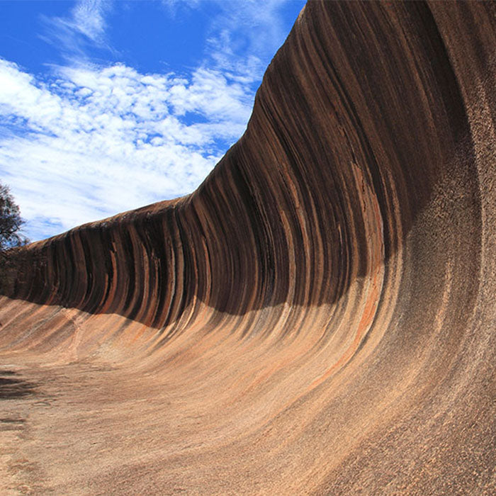 Toilet Paper - Wave Rock - 12 or 48 Rolls